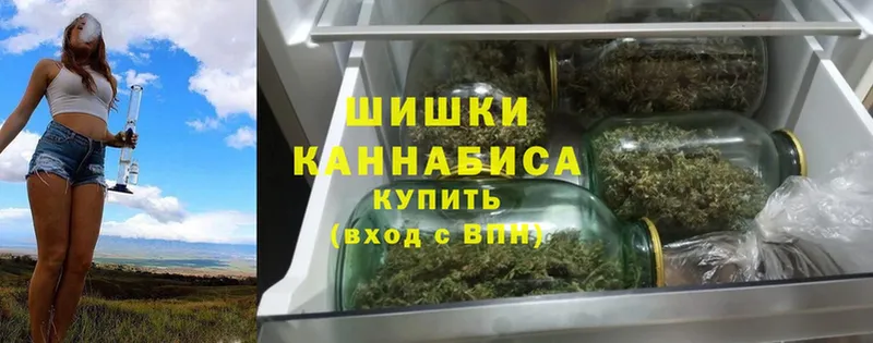 мориарти как зайти  Дегтярск  Конопля планчик 